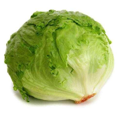 Green Lettuce vegetable seeds vegetable seeds for Home Gardening, Premium Kitchen Garden Collection for kitchen garden planting