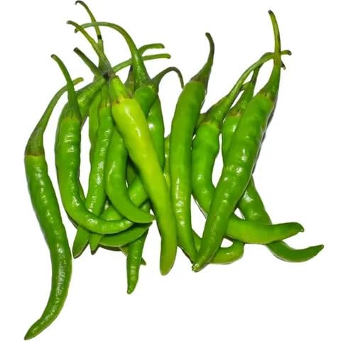 Green Chilli Pepper vegetable seeds - Heirloom, Organic, Non Gmo Garden Seeds for kitchen garden planting
