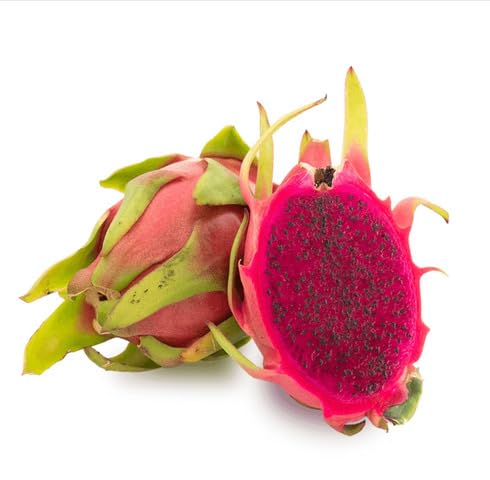 Pink Pitaya fruit seeds for organic garden planting