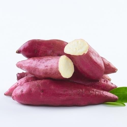 Pink Sweet Potato Vegetables Seeds vegetable seeds - Heirloom, Organic, Non Gmo Garden Seeds for kitchen garden planting
