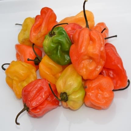 Mixed Habanero vegetable seeds - Heirloom, Organic, Non Gmo Garden Seeds for kitchen garden planting