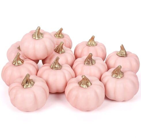 Pink Pumpkin vegetable seeds vegetable seeds for Home Gardening, Natural Home Farming Choice for kitchen garden planting