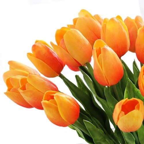 Orange Tulip Flowers Seeds