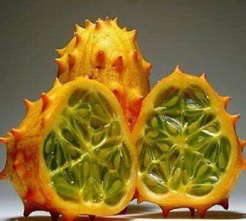 Kiwano Melon Fruit fruit seeds for organic garden planting