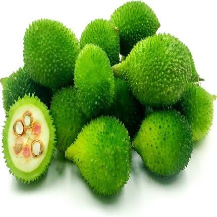 Green kantola vegetable seeds for Home Gardening, Natural Farm Fresh Gardening Choice for kitchen garden planting