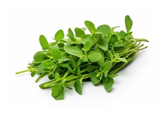 Purslane vegetable seeds for Home Gardening, Nutritious Backyard Harvest Collection for kitchen garden planting