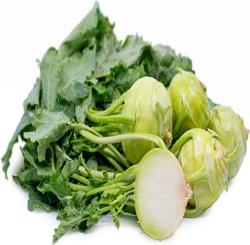 Green Kohlrabi Vegetbale Seeds vegetable seeds - Heirloom, Organic, Non Gmo Garden Seeds for kitchen garden planting