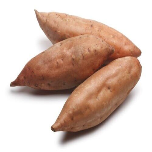 Sweet Potato Seeds,Brown vegetable seeds for Home Gardening, Nutritious Backyard Harvest for kitchen garden planting