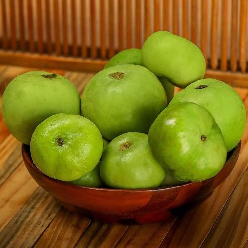 Apple Gourd vegetable seeds Green vegetable seeds for Home Gardening, Fast Growing Backyard Harvest for kitchen garden planting