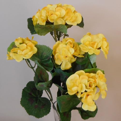 Yellow Geranium Flower Seeds