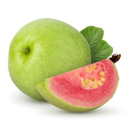 pink guava fruit Fruit Seeds for Home Planting Premium Germination Healthy Harvest Growing
