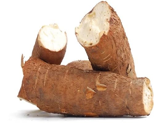 Cassava vegetable seeds Brown vegetable seeds for Home Gardening, Premium Kitchen Garden Collection for kitchen garden planting