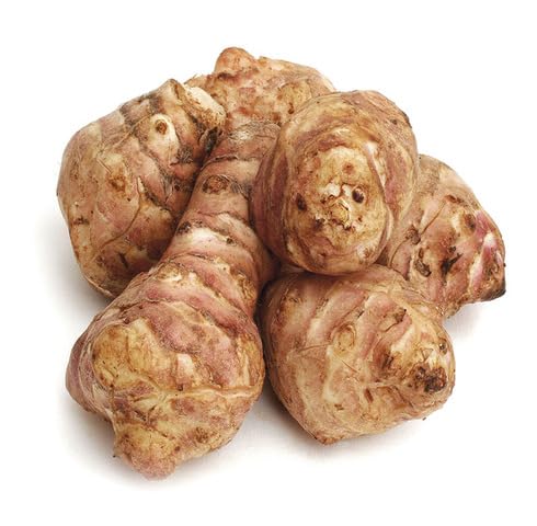 Brown Topinambur vegetable seeds vegetable seeds for Home Gardening, Natural Home Farming Choice for kitchen garden planting