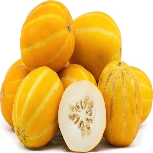 Yellow Melon vegetable seeds - Heirloom, Organic, Non Gmo Garden Seeds for kitchen garden planting
