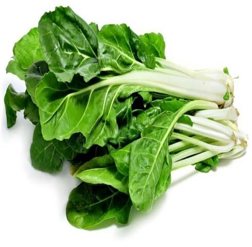 Green Swiss Chard vegetable seeds - Heirloom, Organic, Non Gmo Garden Seeds for kitchen garden planting