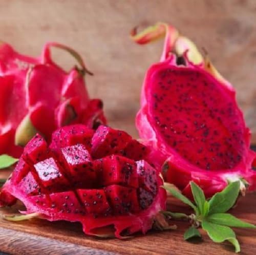 Pitaya Fruit fruit seeds for organic garden planting