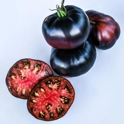 Black Tomato vegetable seeds for Home Gardening, Healthy Seasonal Vegetable Planting for kitchen garden planting