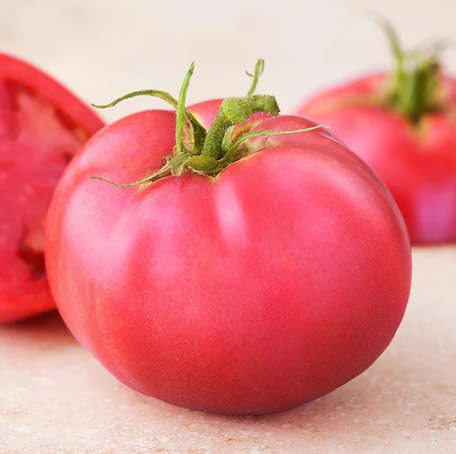 Pink Tomato vegetable seeds - Heirloom, Organic, Non Gmo Garden Seeds for kitchen garden planting