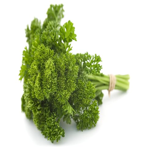 Green Parsley vegetable seeds - Heirloom, Organic, Non Gmo Garden Seeds for kitchen garden planting