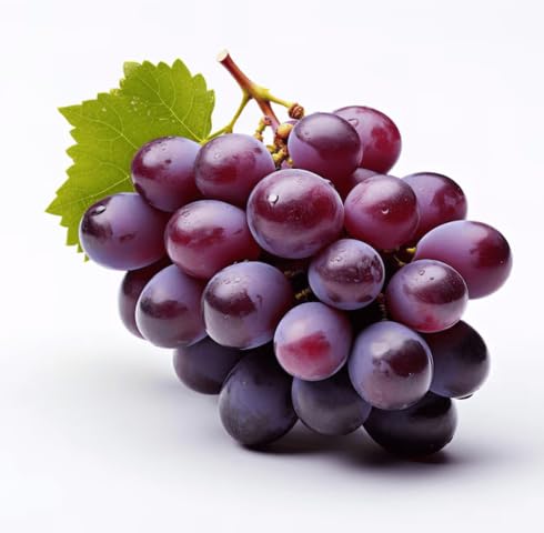 Purple Grapes fruit seeds for organic garden planting