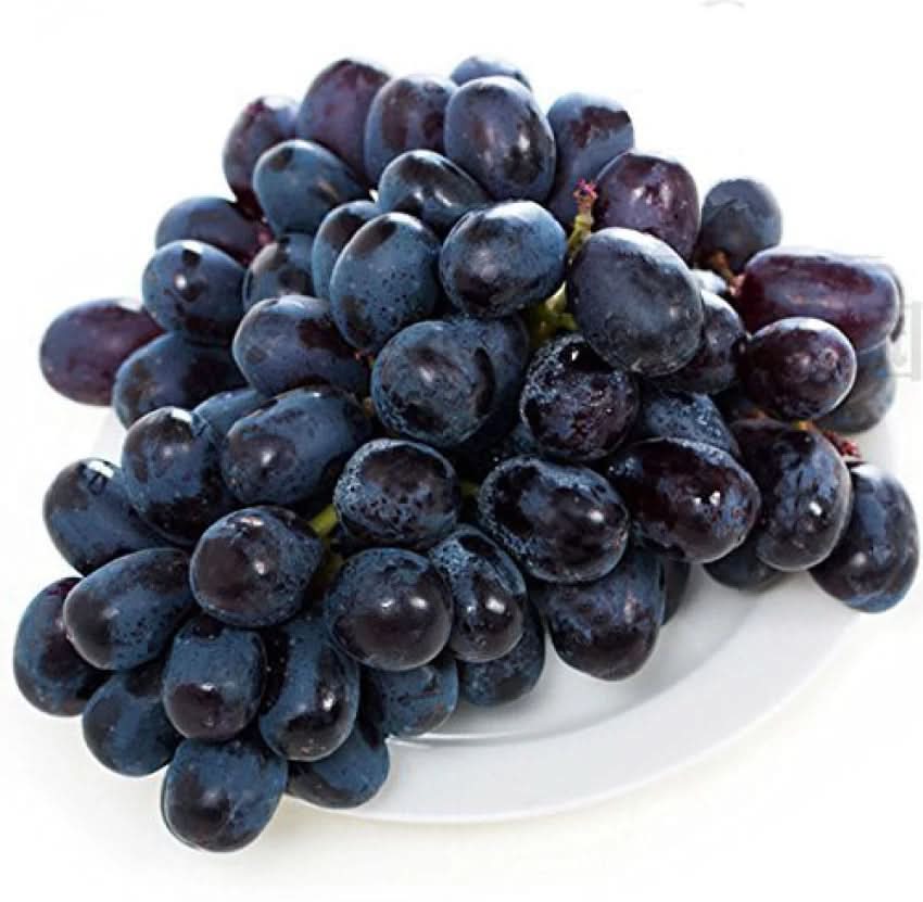 black brazilian grape fruit for unique varieties heirloom non gmo Fruit seeds