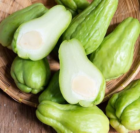 Green Chayote Vegetables vegetable seeds for Home Gardening, Premium Kitchen Garden for kitchen garden planting