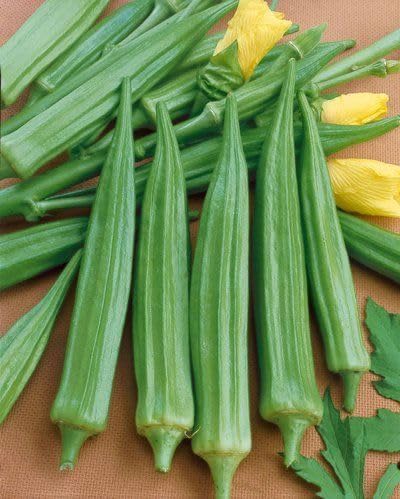 Green Okra Vegetables Seeds vegetable seeds - Heirloom, Organic, Non Gmo Garden Seeds for kitchen garden planting