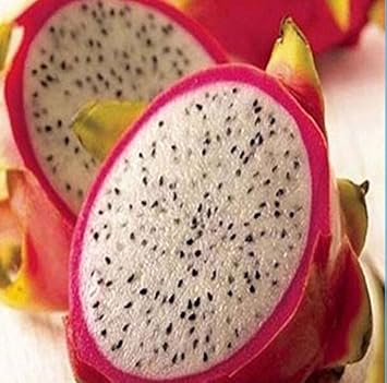 pink dragon fruit Fruit Seeds organic garden seeds