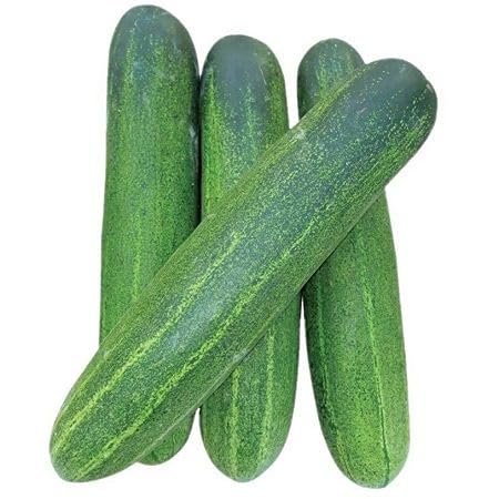 Green Cucumber Vegetable Seeds Heirloom, Non-GMO for Home Garden Planting