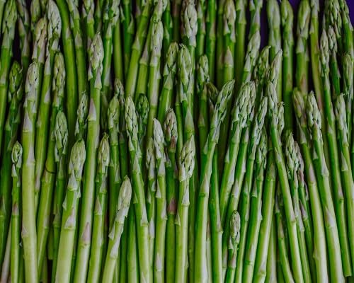 Asparagus vegetable seeds Green vegetable seeds for Home Gardening, Heirloom, Non-GMO, High for kitchen garden planting