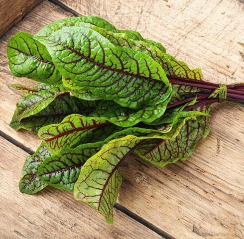 Red Green Sorrel vegetable seeds - Heirloom, Organic, Non Gmo Garden Seeds for kitchen garden planting