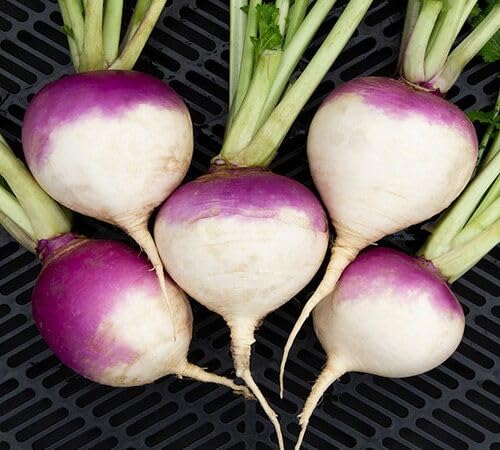 Turnip vegetable seeds - Heirloom, Organic, Non Gmo Garden Seeds for kitchen garden planting