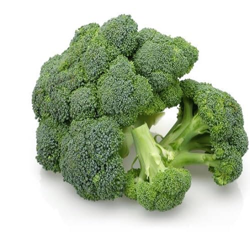 Broccoli vegetable seeds vegetable seeds for Home Gardening, Premium Kitchen Garden Collection for kitchen garden planting