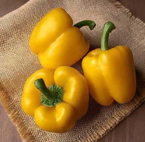 Yellow Capsicum vegetable seeds - Heirloom, Organic, Non Gmo Garden Seeds for kitchen garden planting