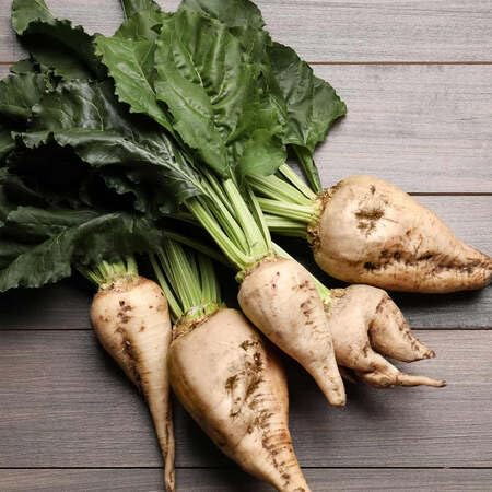 Sugar Beet vegetable seeds - Heirloom, Organic, Non Gmo Garden Seeds for kitchen garden planting