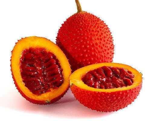 Red Gac fruit seeds for organic garden planting