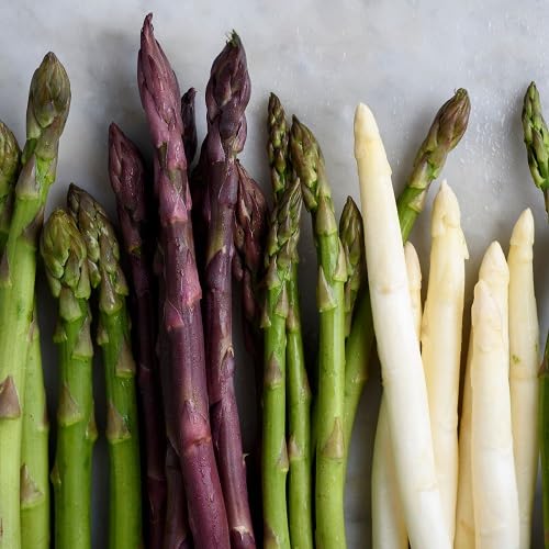 Mixed Asparagus vegetable seeds - Heirloom, Organic, Non Gmo Garden Seeds for kitchen garden planting
