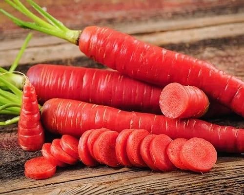Carrot Vegetables Seeds Orange vegetable seeds for Home Gardening, Easy Grow Farm Fresh Produce for kitchen garden planting