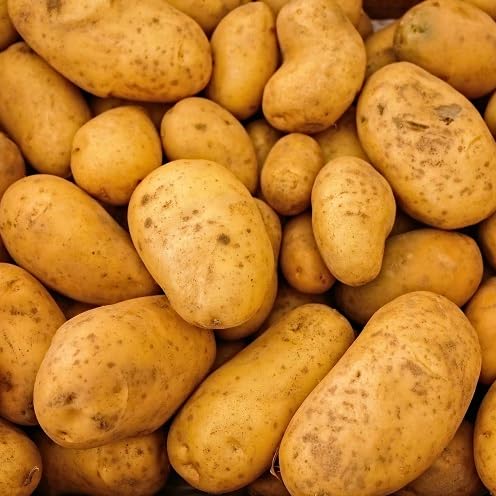 Potato Brown vegetable seeds - Heirloom, Organic, Non Gmo Garden Seeds for kitchen garden planting