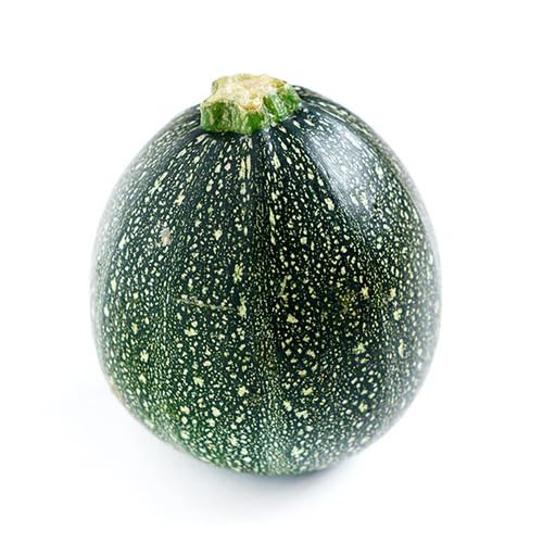 Round Zucchini vegetable seeds for Home Gardening, Premium Kitchen Garden Planting for kitchen garden planting