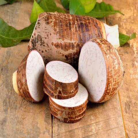 Taro vegetable seeds - Heirloom, Organic, Non Gmo Garden Seeds for kitchen garden planting