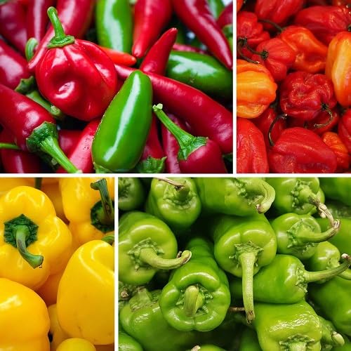 Mixed Hot Pepper . vegetable seeds - Heirloom, Organic, Non Gmo Garden Seeds for kitchen garden planting