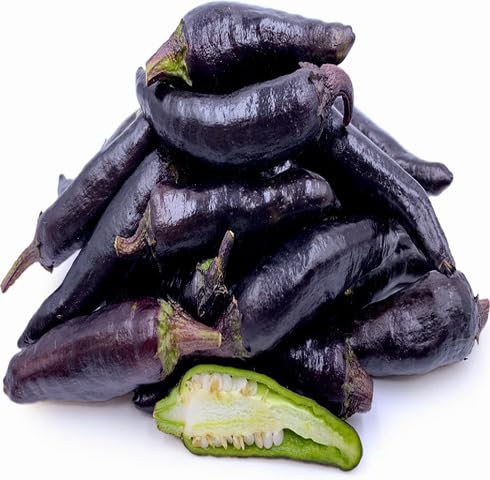 Purple Chilli vegetable seeds - Heirloom, Organic, Non Gmo Garden Seeds for kitchen garden planting
