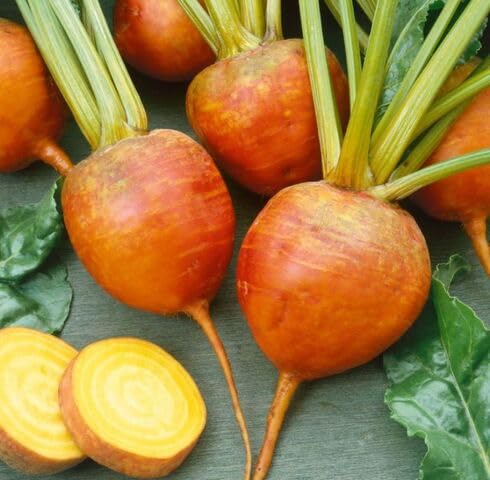 Orange Beet Root vegetable seeds for Home Gardening, Heirloom, Non-GMO, High Germination for kitchen garden planting