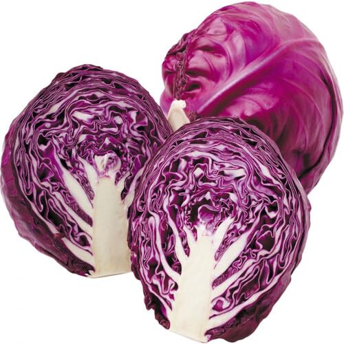Purple Cabbage vegetable seeds for Home Gardening, Premium Kitchen Garden Planting for kitchen garden planting
