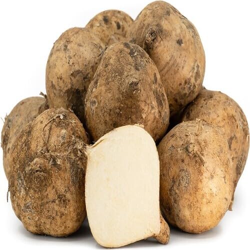 White Jicama vegetable seeds - Heirloom, Organic, Non Gmo Garden Seeds for kitchen garden planting