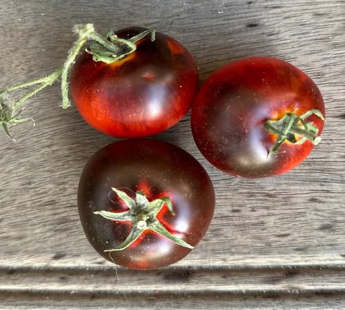 red Black Tomato vegetable seeds for Home Gardening, Natural Farm Fresh Gardening Choice for kitchen garden planting