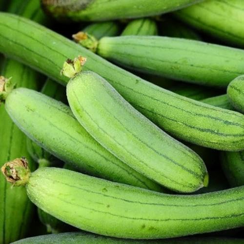 Green Zucca luffa vegetable seeds for Home Gardening, Organic Raised Bed Garden Favorite for kitchen garden planting