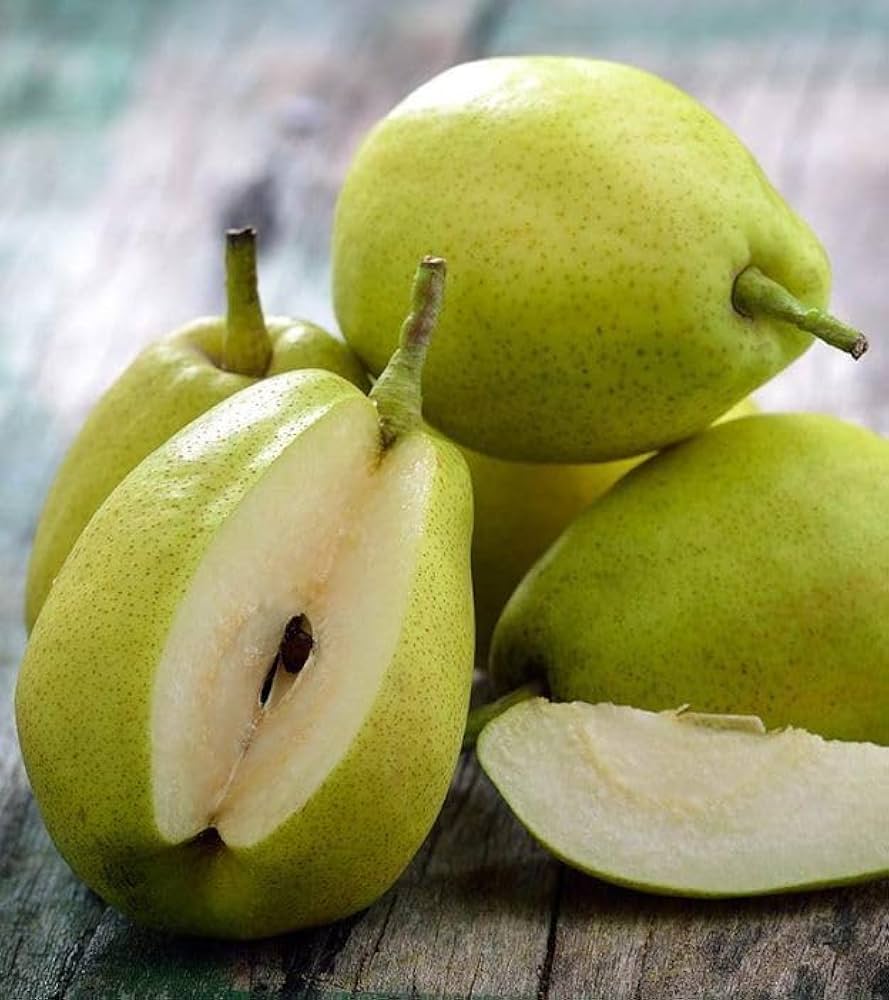 pear fruit pyrus communis in Seeds