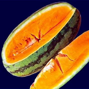 orange watermelon fruit Fruit Seeds organic garden seeds